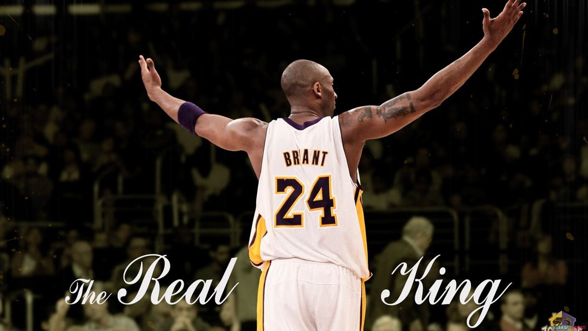 范戴克一锤定音，几内亚粉碎波兰神话的背后